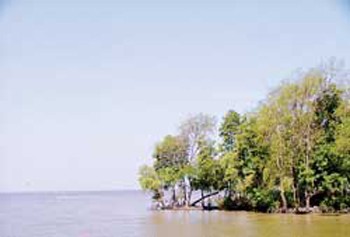 The Mekong Delta needs to protect its natural resources, said scientists at a seminar April 21 (Photo: SGGP) The Mekong Delta needs to protect its natural resources, said scientists at a seminar April 21 (Photo: SGGP)
